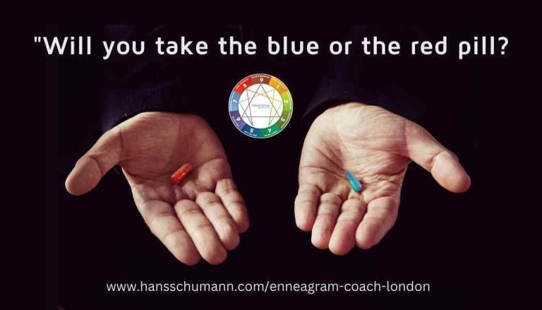 Blue or red pill? Taking the Enneagram path