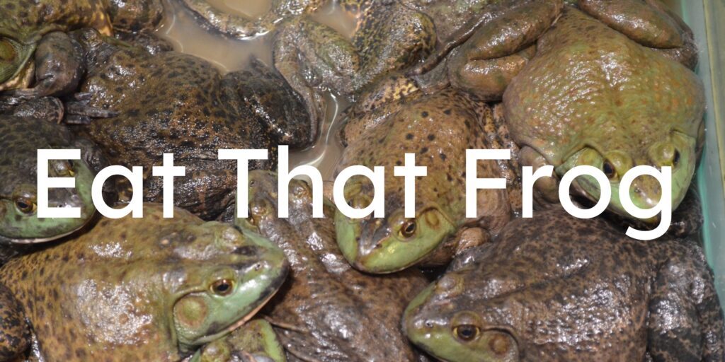 Eath That Frog principle to increase productivity